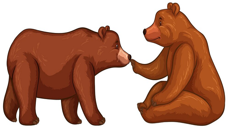 Cute:tlbavxrqdk0= Bear