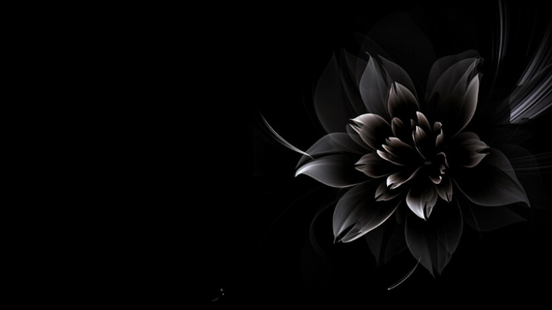 wallpaper:e5rvq-_rhpw= black