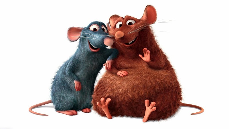 remy:9niq and fxg= ratatouille