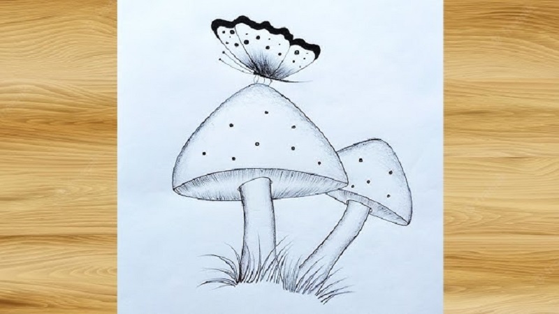 Aesthetic:kabtwqi6rbg= Mushroom Drawing: A Complete Guide for Artists