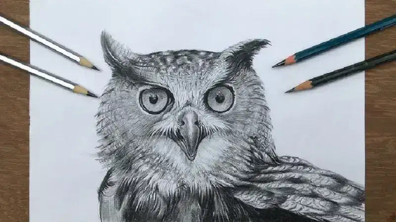 drawing:lfgxzvm9-r8= owl