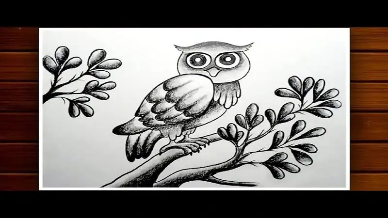 drawing:lfgxzvm9-r8= owl