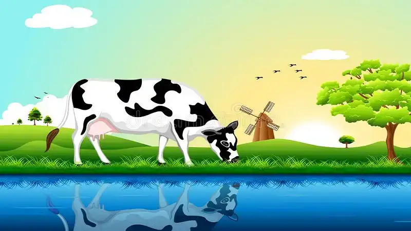 Clipart:_n6r7x-sehk= Cow: A Complete Insight