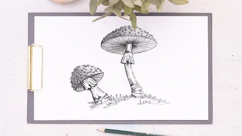 Drawing:places jepq= Mushroom