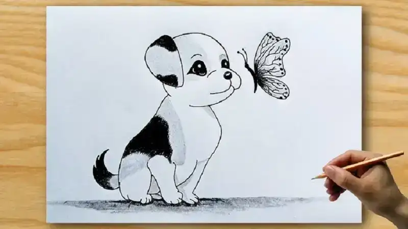 drawing:zauq mcdm= dog