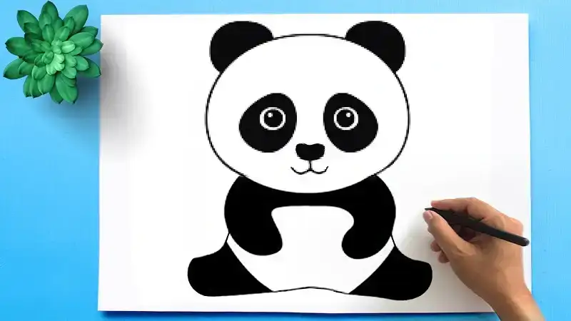 easy:hzskjqhqar4= panda drawing