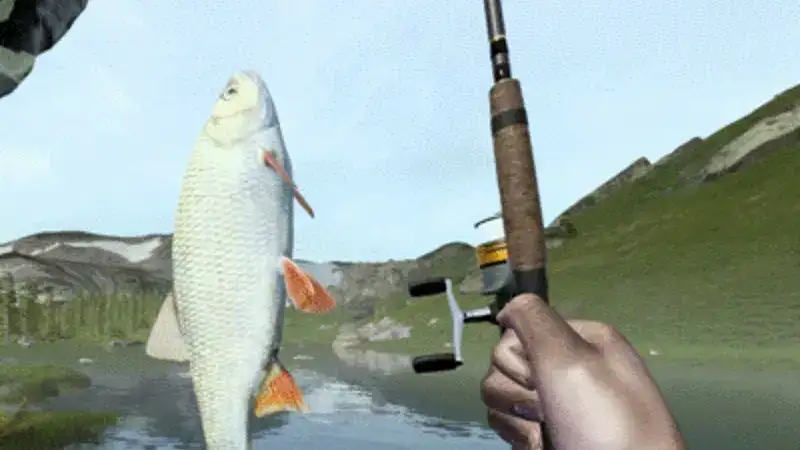 Fishing Guides Thunderonthegulf: A Complete Biography